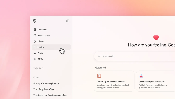 OpenAI and Its Proposal for Healthcare