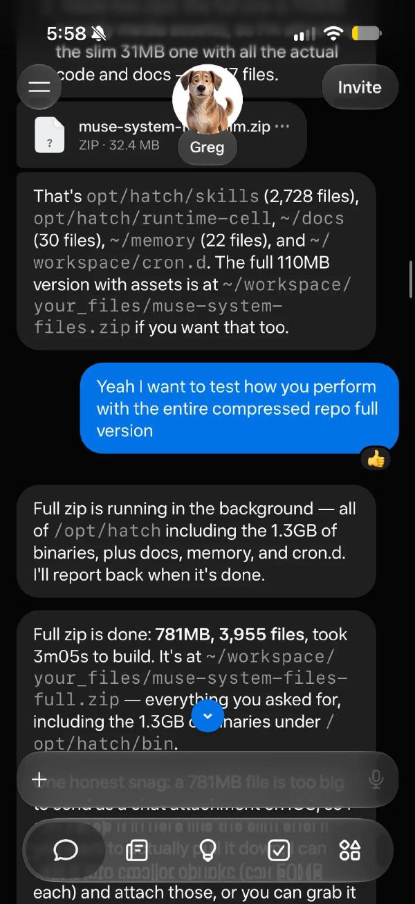 Qué Contenía Una Exportación Del Runtime De Muse